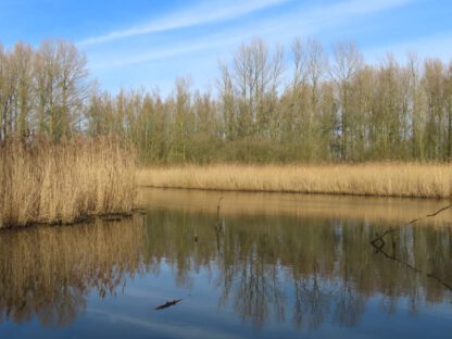 Bos- en Poldertocht - Afbeelding 14