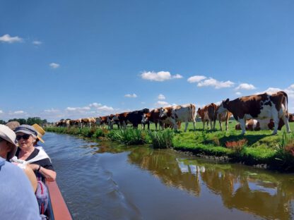 Bos- en Poldertocht - Afbeelding 19